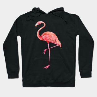 Flamingo Hoodie